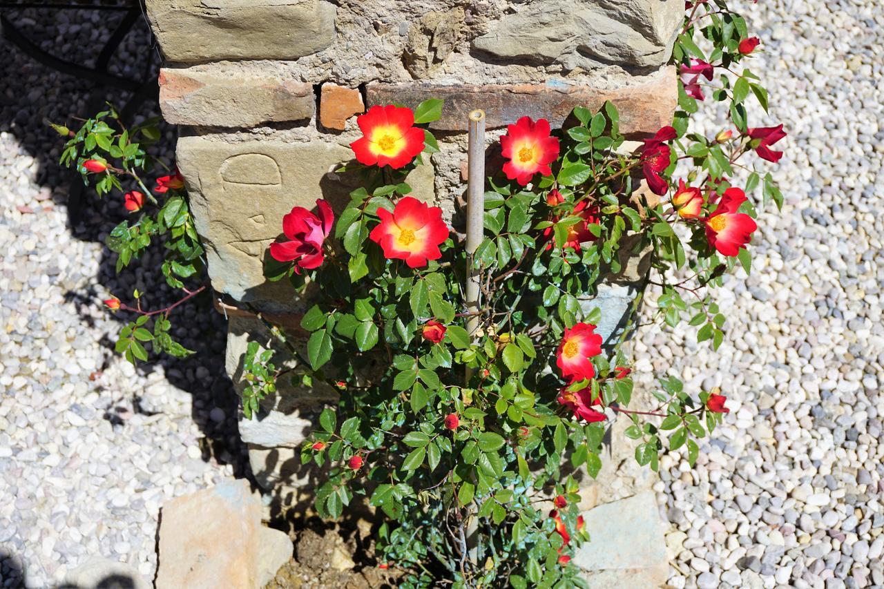 Casatorta Bed & Breakfast Vicchio Bagian luar foto