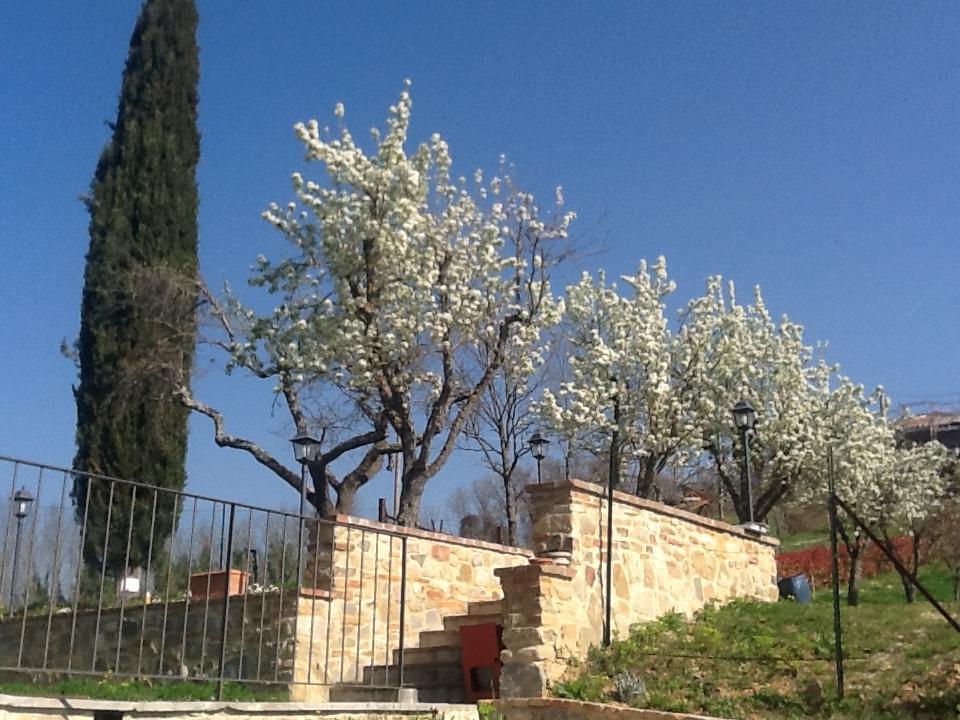 Casatorta Bed & Breakfast Vicchio Bagian luar foto